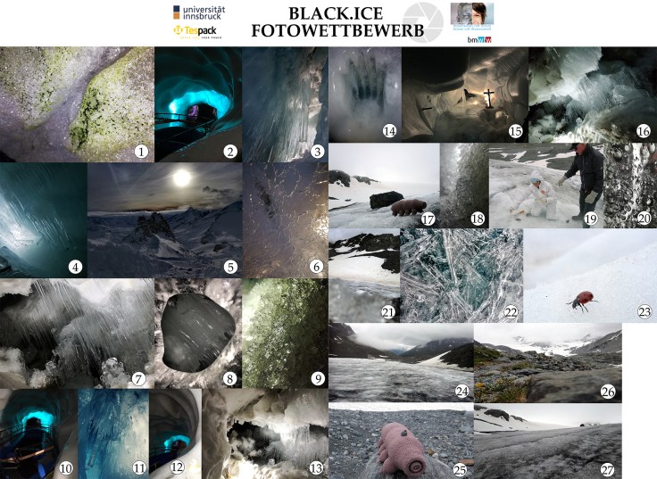 plakat_Fotochallenge_Wordpress